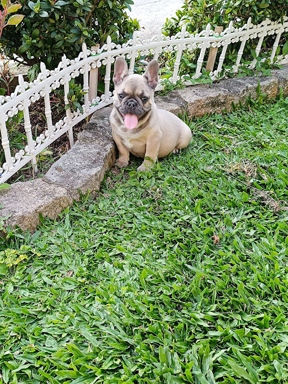 IMG_20240821_162031_1