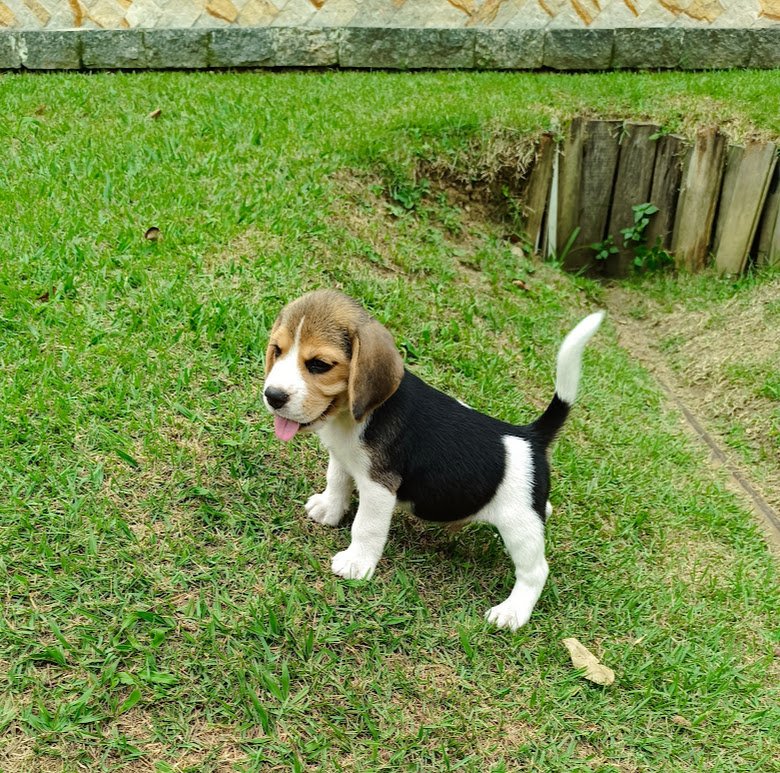 IMG_20250302_161845_1 (1)