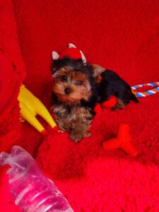 56b41782-ec49-49c6-8aa2-dbd89b0ad069