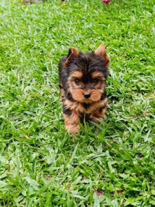 7fadd266-fe40-49c0-9c38-dc6d77700922