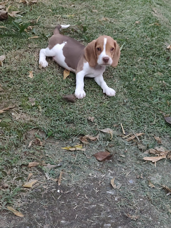 IMG_20260215_183432_1