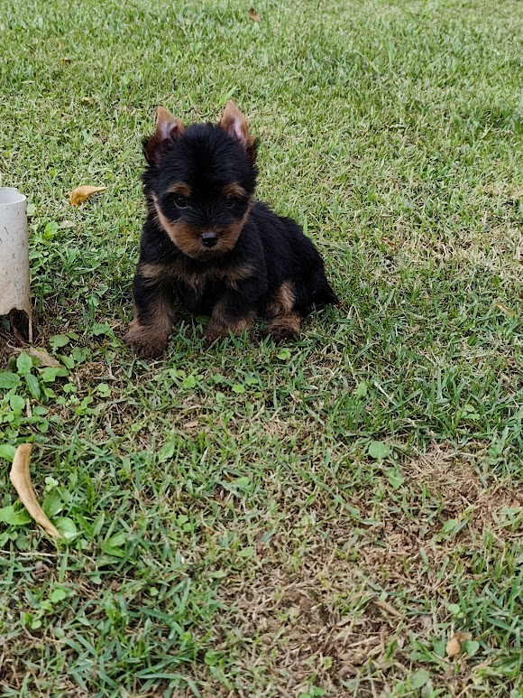 IMG_20260409_101548_1