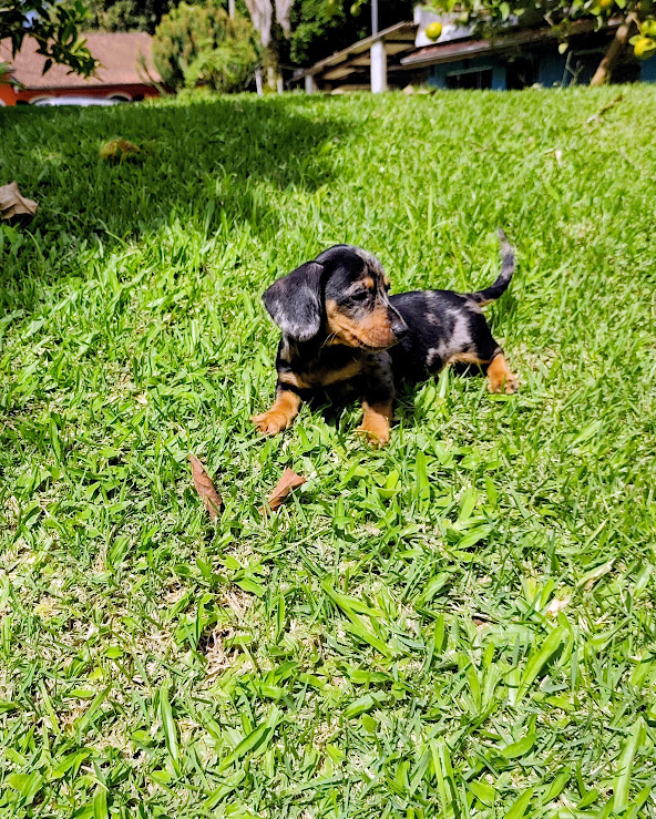 IMG_20260421_111856~2