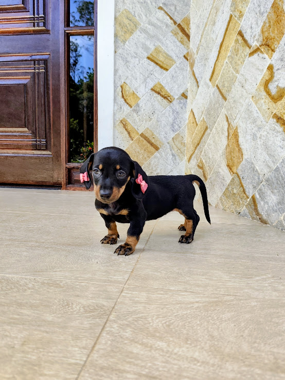 IMG_20260421_113150~2